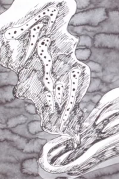 Ten Nights' Dreams