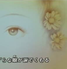 Candy no Yume